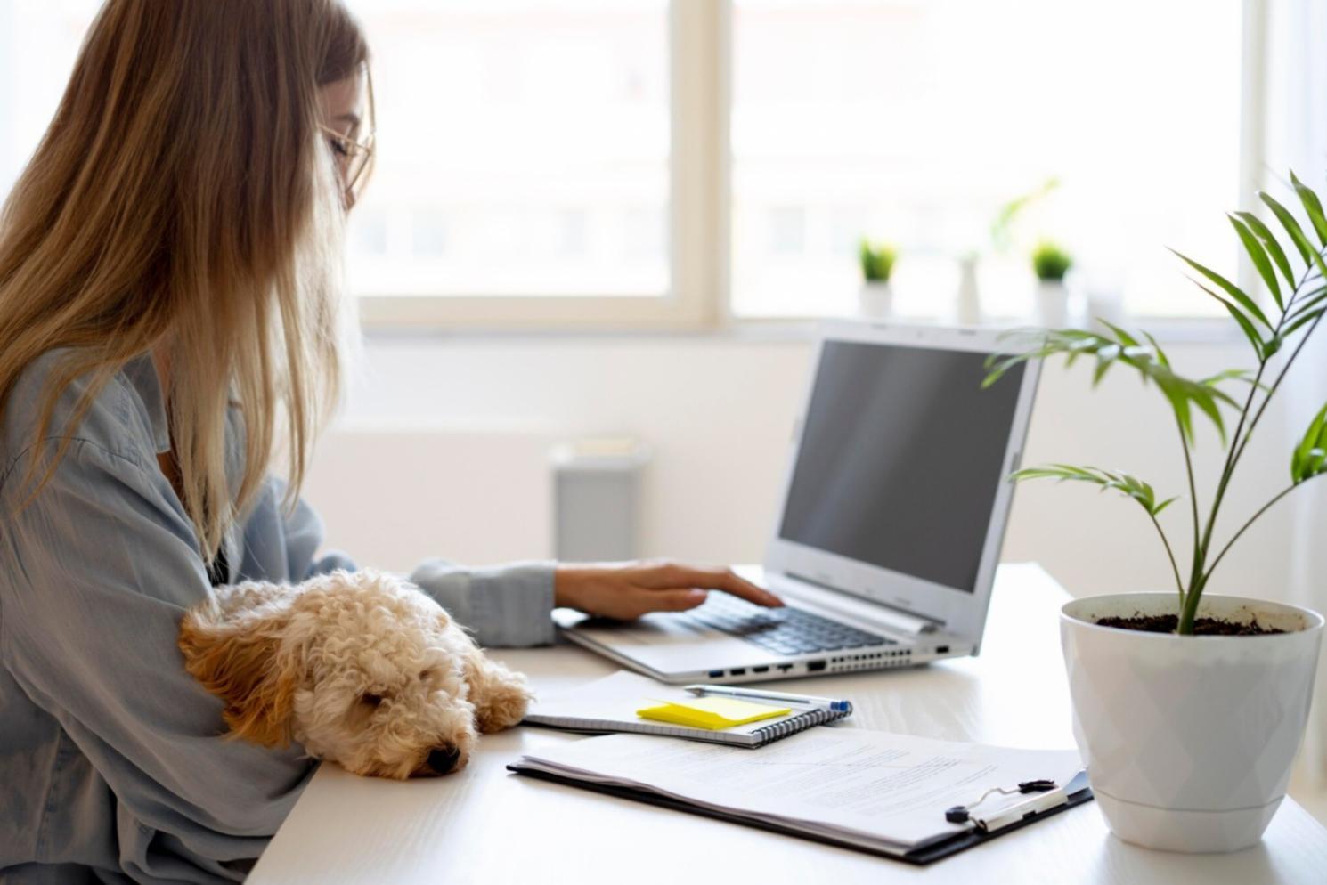 Espacio de práctica de yoga con luz natural donde nuestro equipo desarrolla las metodologías de enseñanza